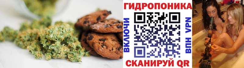 Купить закладки  Белоусово  Печенье с ТГК марихуана 