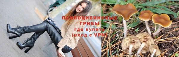 хмурый Краснослободск