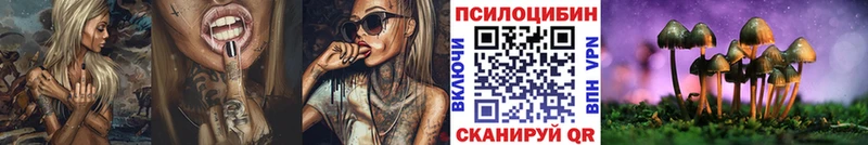 Купить где  Белоусово  Галлюциногенные грибы Psilocybine cubensis 